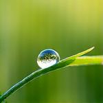 Persona observando una gota de agua caer, símbolo de mindfulness.